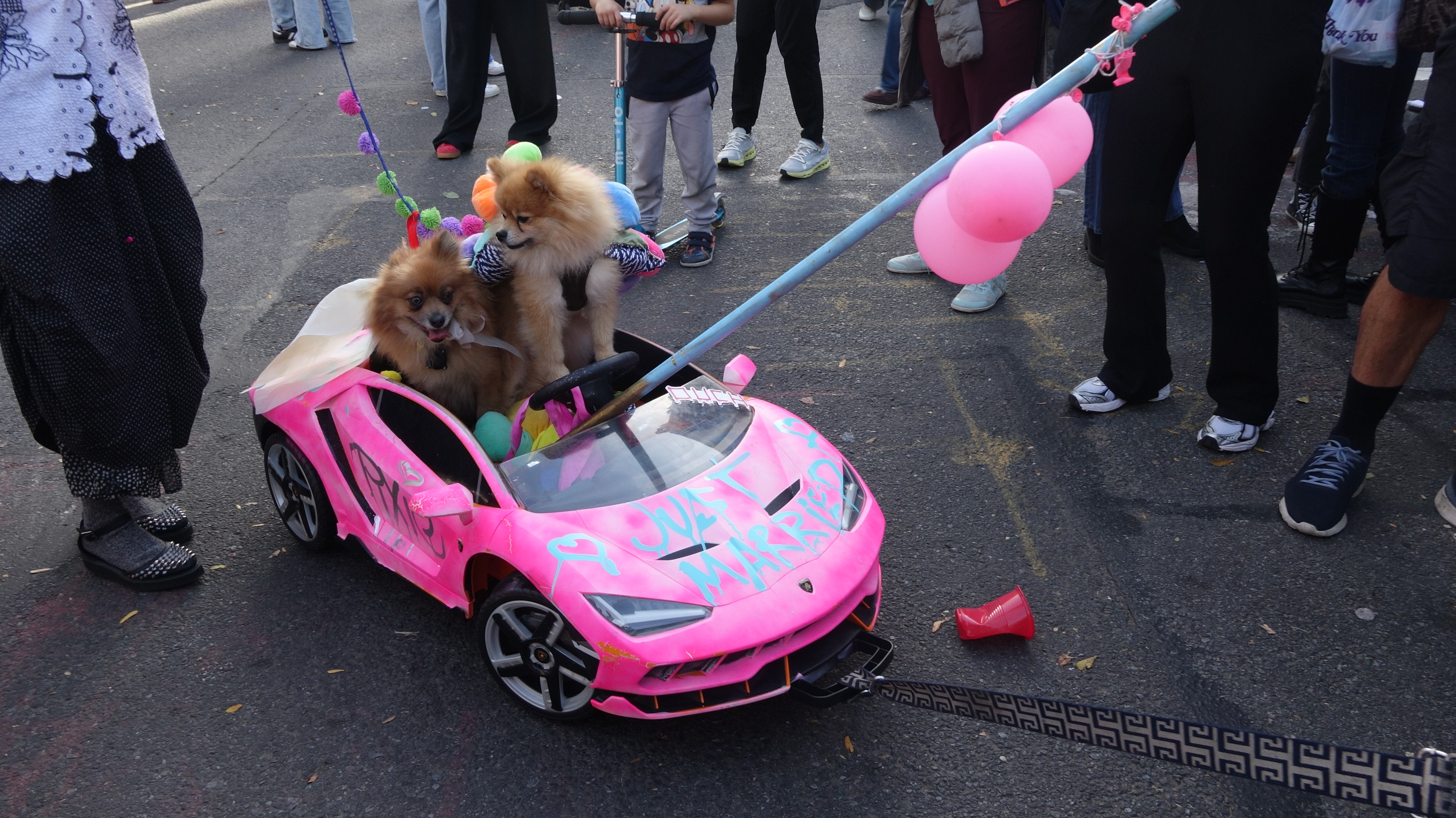 2025年のトンプキンス・スクエア・ハロウィン・ドッグ・パレードで、2匹の犬がピンクのおもちゃのオープンカーに乗っている。
